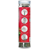 Scentsicles Scented Ornament Sticks, Snowberry Pine, 6 Piece