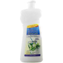 Loyal Multi-Purpose Deodorizer, Concentrated With The Scent Of Full And Jasmine, 2100Ml