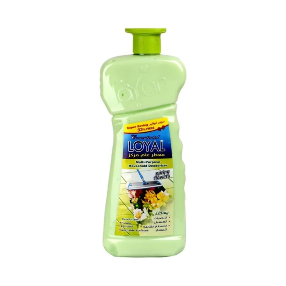 Loyal Multi-Purpose Household Deodorizer Concentrated Gel, Spring Flowers, 2100Ml