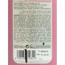 Syoss Ant Hair Fall Shampoo Plus Conditioner, 2 X 500 Ml