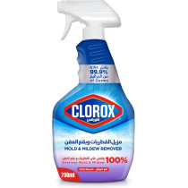 Clorox Mold And Mildew Remover Spray With Bleach, 750 ml