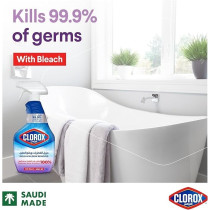 Clorox Mold And Mildew Remover Spray With Bleach, 750 ml
