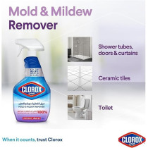 Clorox Mold And Mildew Remover Spray With Bleach, 750 ml