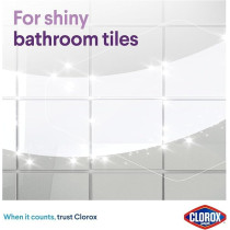 Clorox Mold And Mildew Remover Spray With Bleach, 750 ml