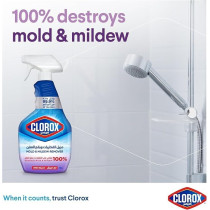 Clorox Mold And Mildew Remover Spray With Bleach, 750 ml