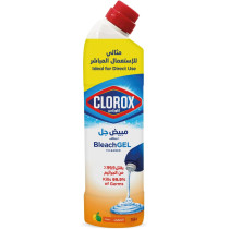 Clorox Bleach Gel And Cleaner, 750 ml