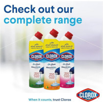 Clorox Bleach Gel And Cleaner, 750 ml