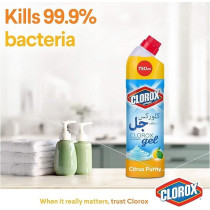 Clorox Bleach Gel And Cleaner, 750 ml