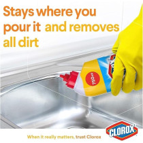 Clorox Bleach Gel And Cleaner, 750 ml