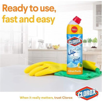 Clorox Bleach Gel And Cleaner, 750 ml