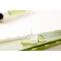 Mumuso Aloe Moisturizing Eye Cream, Repair Under Eye Bags, Dark Circles And Puffiness, Wrinkle Eye Cream With Natural Aloe Vera Extract, Moisturizing And Repairing Eye Wrinkles, Anti-Aging, 15G