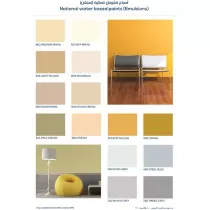 National Paint Water Based...