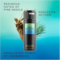 David Beckham True Instinct Deodorant Body Spray For Men, Woody Ambery David Beckham Deodorant, Seductive Scent, Sleek Black Can, 150Ml
