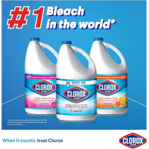 Clorox Liquid Bleach, Kills 99.9Percentage Of Viruses And Bacteria, 48 Hours Prevents Bacteria Growth, Removes Stains, 950Ml