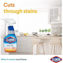Clorox Kitchen Spray Cleaner, Bleach Free, Kills 99.9 Percentage of Germs, 100 Percentage Grease And Grime Remover, 500ml