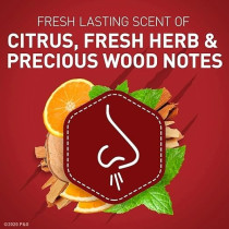 Old Spice Fresh Scent Men'S Roll-On Deodorant, 3 Oz