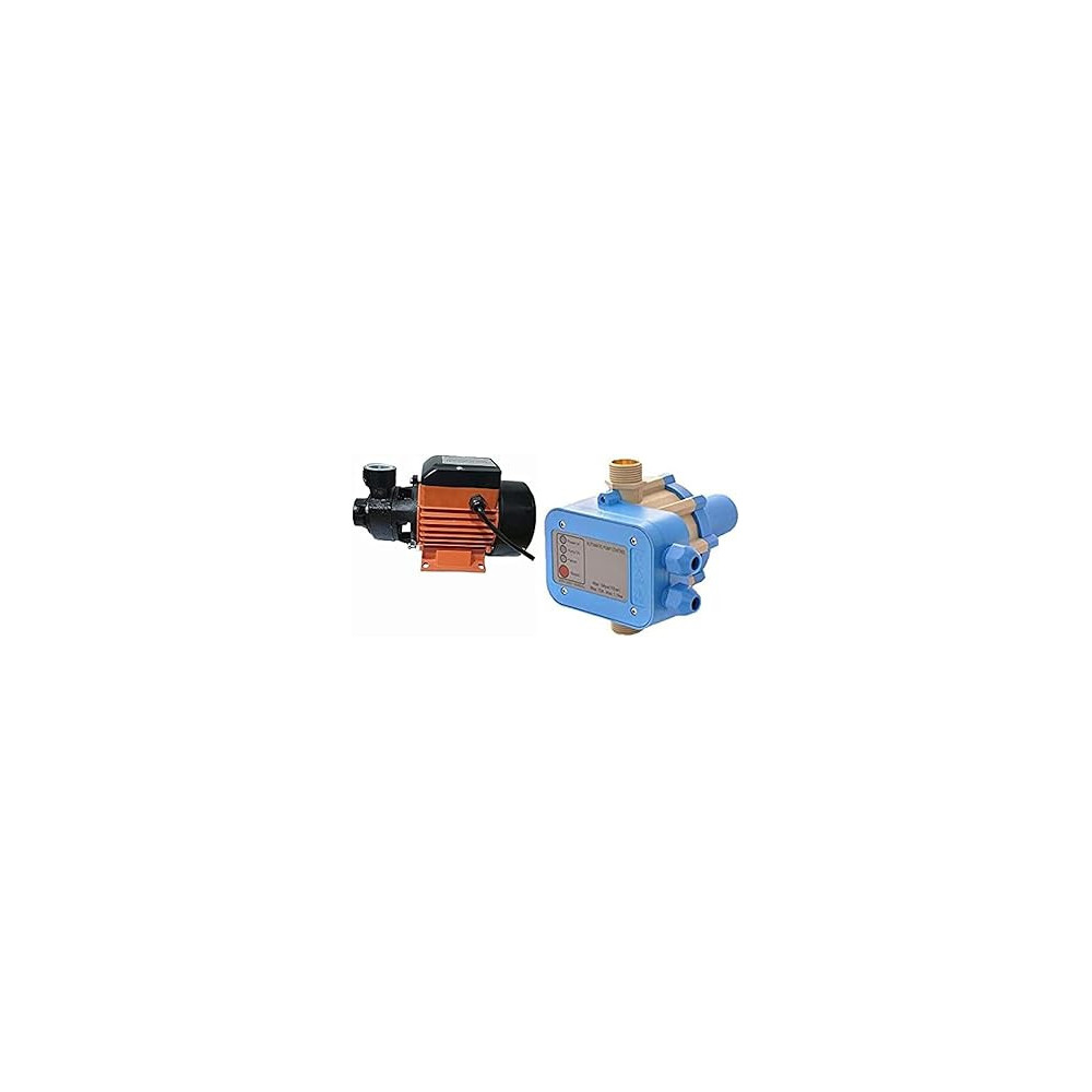 Abbas Ali 0.5Hp Water Pump with Automatic Control Switch, 1 Year Warranty