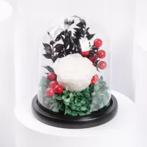 Ferns N Petals UAE National...