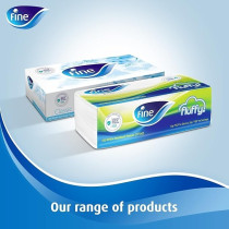 Fine Classic Euphoria Facial Tissue 150 Sheets X 2 Ply, Bundle Of 24. Fine Variety Sterilized Tissues For Germ Protection