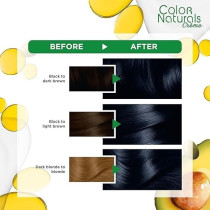 Garnier Color Naturals 2.10 Hair Color, Blue Black, 112Gm