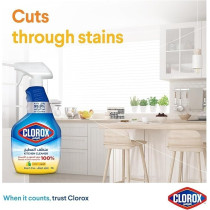 Clorox Kitchen Spray Cleaner Lemon, Bleach Free, Kills 99.9Percentage Of Germs, 100Percentage Grease And Grime Remover, 750Ml