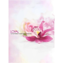 Loyal Multi-Purpose Household Deodorizer Concentrated Gel, Oud, 2100Ml