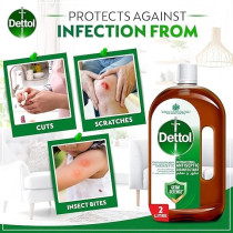 Dettol Antiseptic Antibacterial Disinfectant Liquid for Effective Germ Protection And Personal Hygiene, Used in Floor Cleaning, Bathing and Laundry, 2Liter