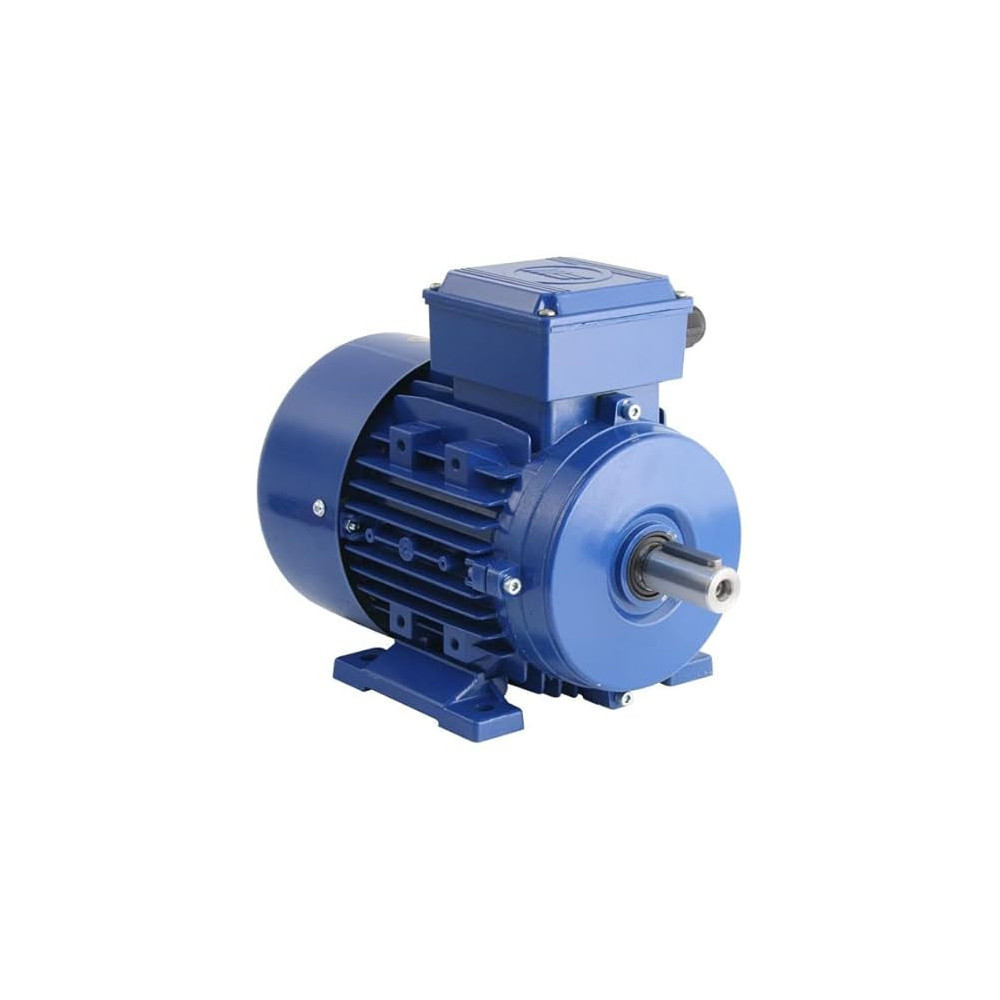 Abbas Ali Single Phase Motor, 2800 RPM, 4 HP for Various Applications