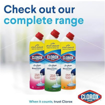 Clorox Bleach Gel and Cleaner, Mint Freshness, Kills 99.9 Percentage of Germs, Thick Gel Formula, 750ml