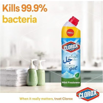 Clorox Bleach Gel and Cleaner, Mint Freshness, Kills 99.9 Percentage of Germs, Thick Gel Formula, 750ml