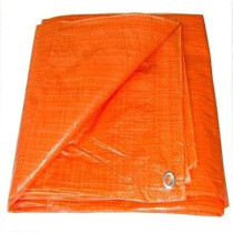 Abbas Ali Waterproof Ground Cover, Durable Tent Shelter Rain Cover Tarpaulin, 24 x 24