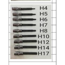 Abbas Ali Hex Allen Key Socket 21CH 4156, 100mm/H14, High Quality Hex Socket for Professional Use
