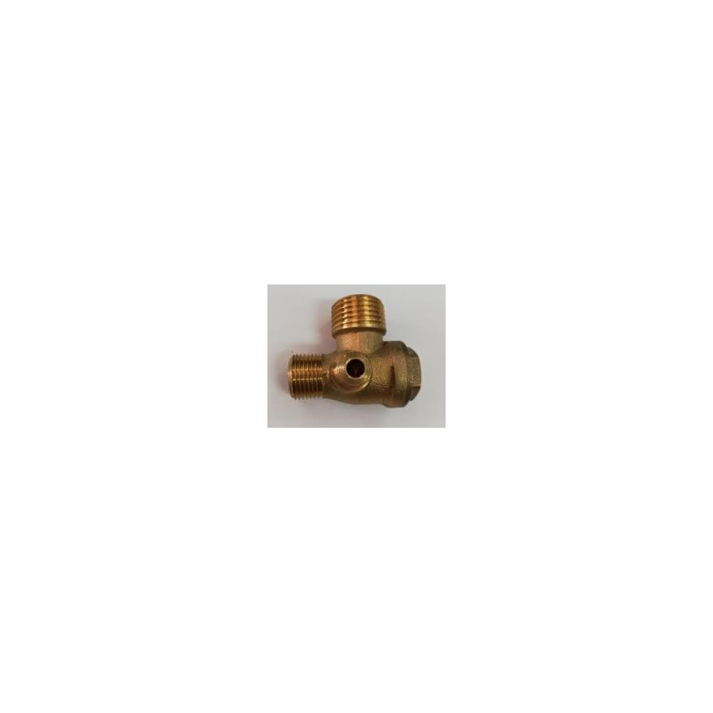 Abbasali Non Return Valve Brass