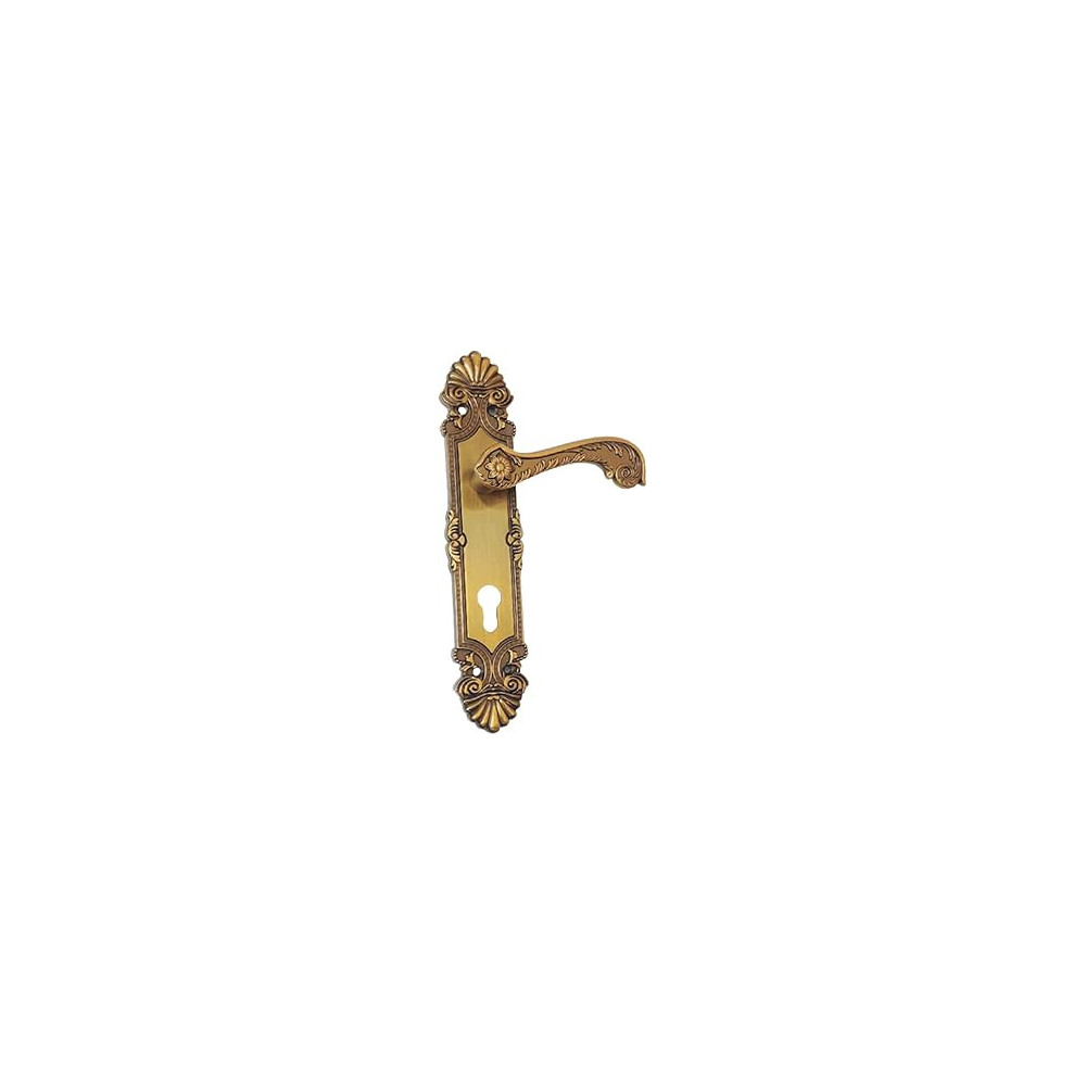 Abbas Ali Premium Wooden Door Handle and Lock for Entrance and Interior Doors, Model M18 957