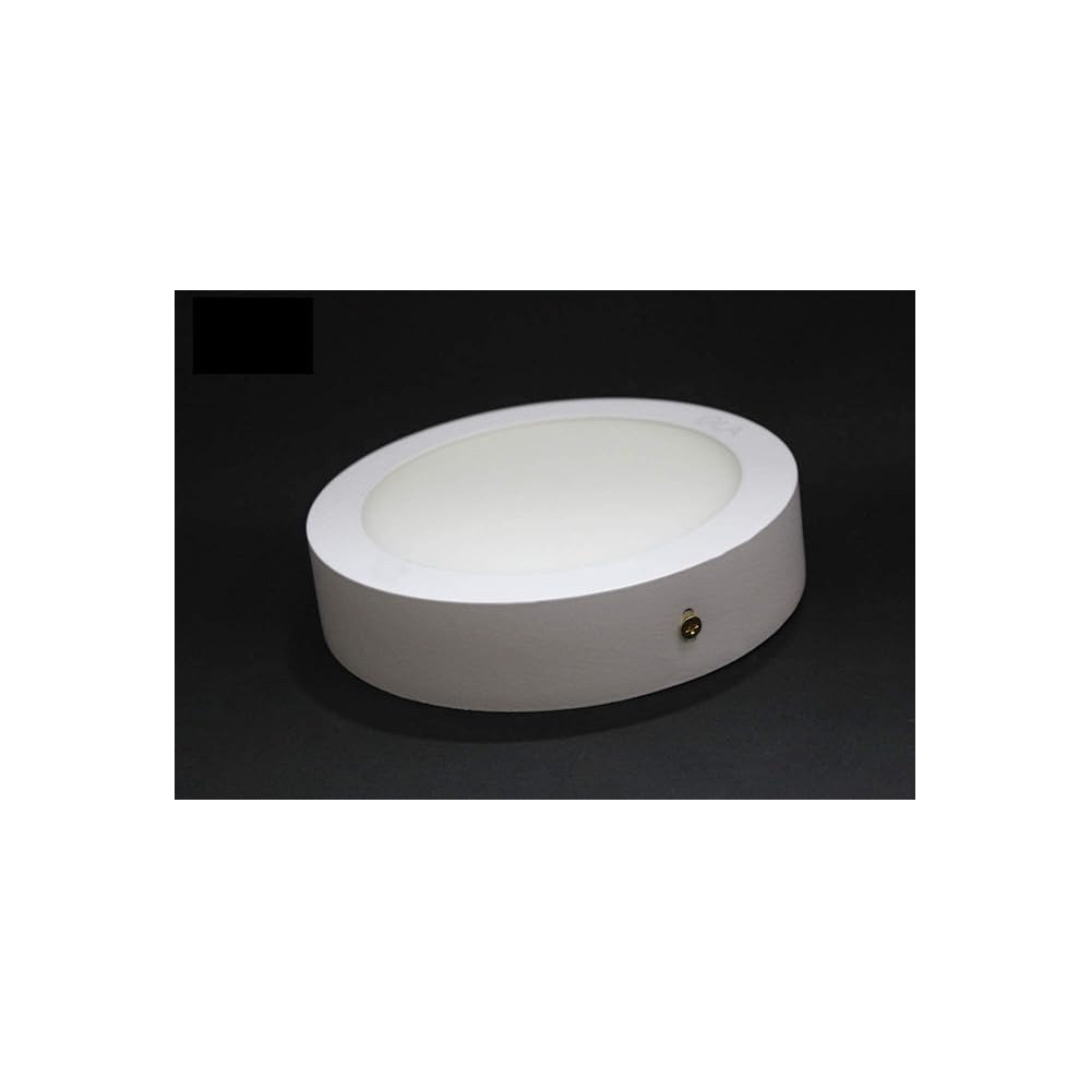 Abbasali Round Surface Mounted Light