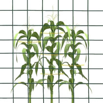 Abbasali Pvc Coated Wire Mesh 4Ft X 90Ft X 22G X 1/2''