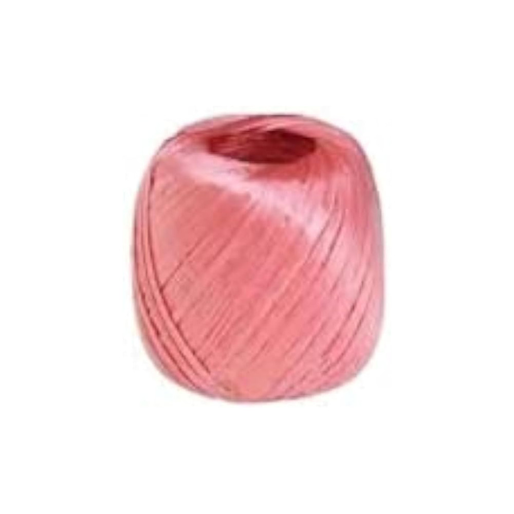 Abbasali Pp String For. Climbers Ans Vegetable Creepers Assorted Colour