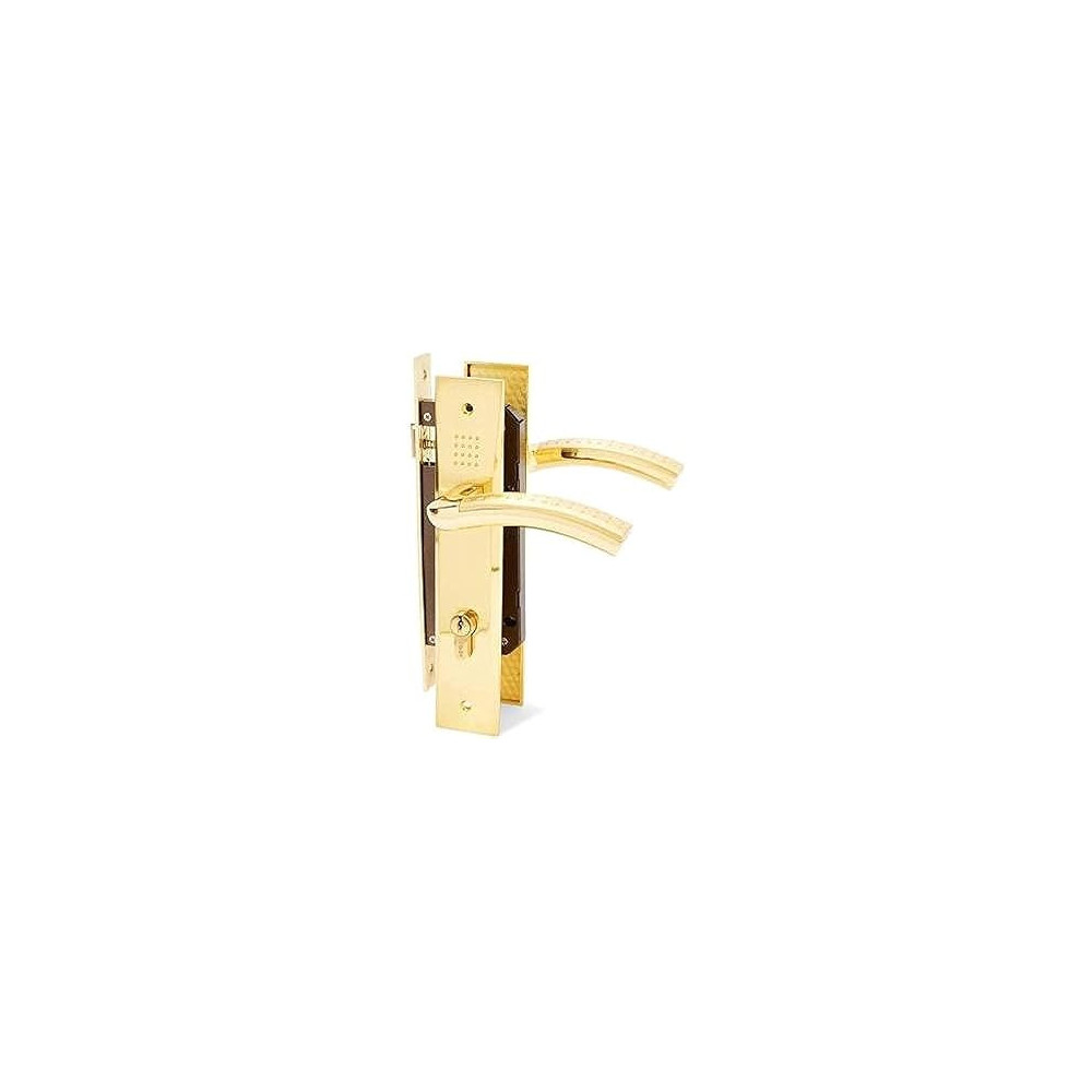 Abbasali Door Handle Key, Door Handle With Lock, European Interior Wooden Door Lock, Bedroom Door Lock,Mute Door Lock,Gp