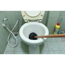 Abbasali Toilet Cleaning Kit