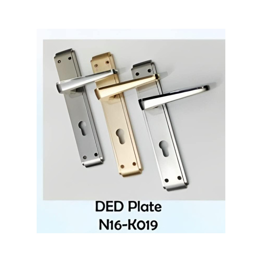 Abbasali Wooden Door Handle for Entrance and Interior Doors, DED Plate N16 KO19, Gold