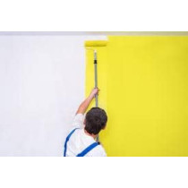National Paints Water Based 3.6 Liter with 4 Inch Paint Brush, 395 Clementine, Vibrant and Long Lasting Color
