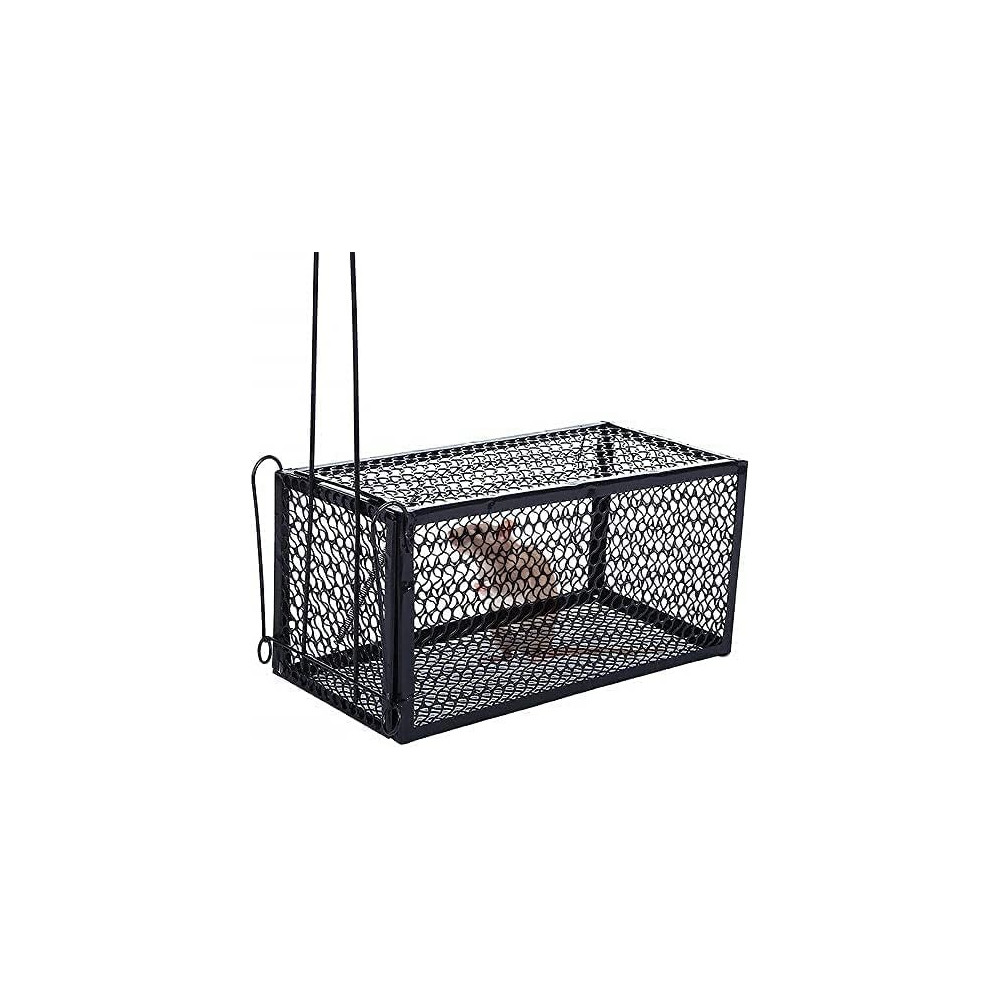 Abbasali Mouse And Rodent Snap Trap Cage, Pack of 5, 24x11x11cm, Black