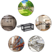 Abbasali Mouse And Rodent Snap Trap Cage, Pack of 5, 24x11x11cm, Black