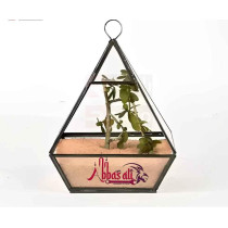 Abbasali Multi-Purpose Natural Sand, 1kg, Ideal for Construction, Aquarium, and DIY Projects with Gloves And Bucket