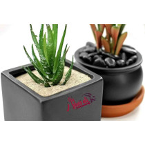 Abbasali Multi-Purpose Natural Sand, 1kg, Ideal for Construction, Aquarium, and DIY Projects with Gloves And Bucket