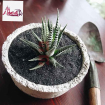 Abbasali Multi-Purpose Natural Sand, 1kg, Ideal for Construction, Aquarium, and DIY Projects with Gloves And Bucket