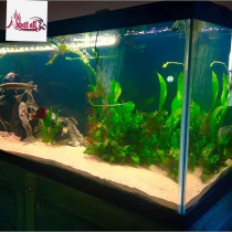 Abbasali Multi-Purpose Natural Sand, 1kg, Ideal for Construction, Aquarium, and DIY Projects with Gloves And Bucket