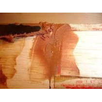 Abbasali Carpenter Wood Filler 500g, Includes Scraper & Brown Spray Paint for Wood Repair and Finishing