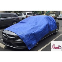 Abbasali Waterproof Ground Cover Tent Shelter, Dust-proof Rain Cover Tarpaulin Sheet, 12 x 12, Blue