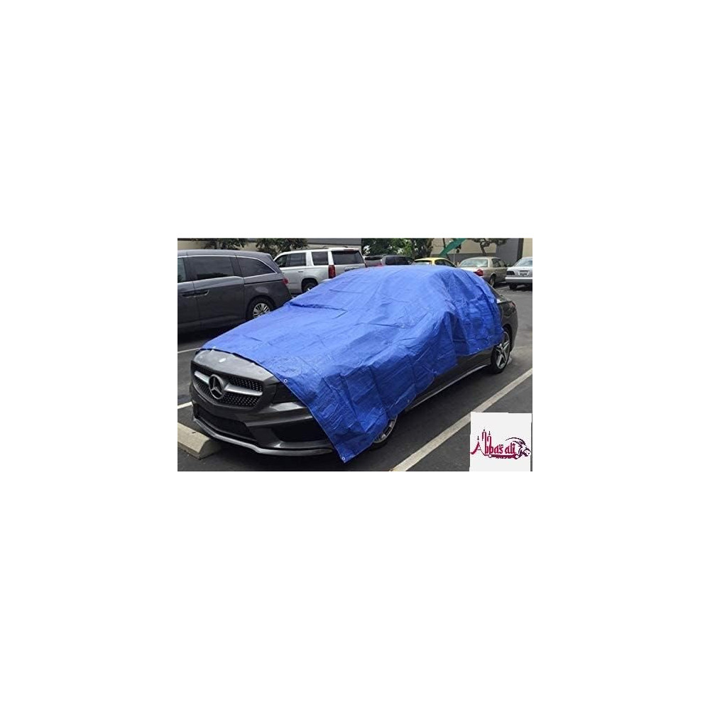 Abbasali Waterproof Ground Cover Tent Shelter, Dust-proof Rain Cover Tarpaulin Sheet, 12 x 12, Blue